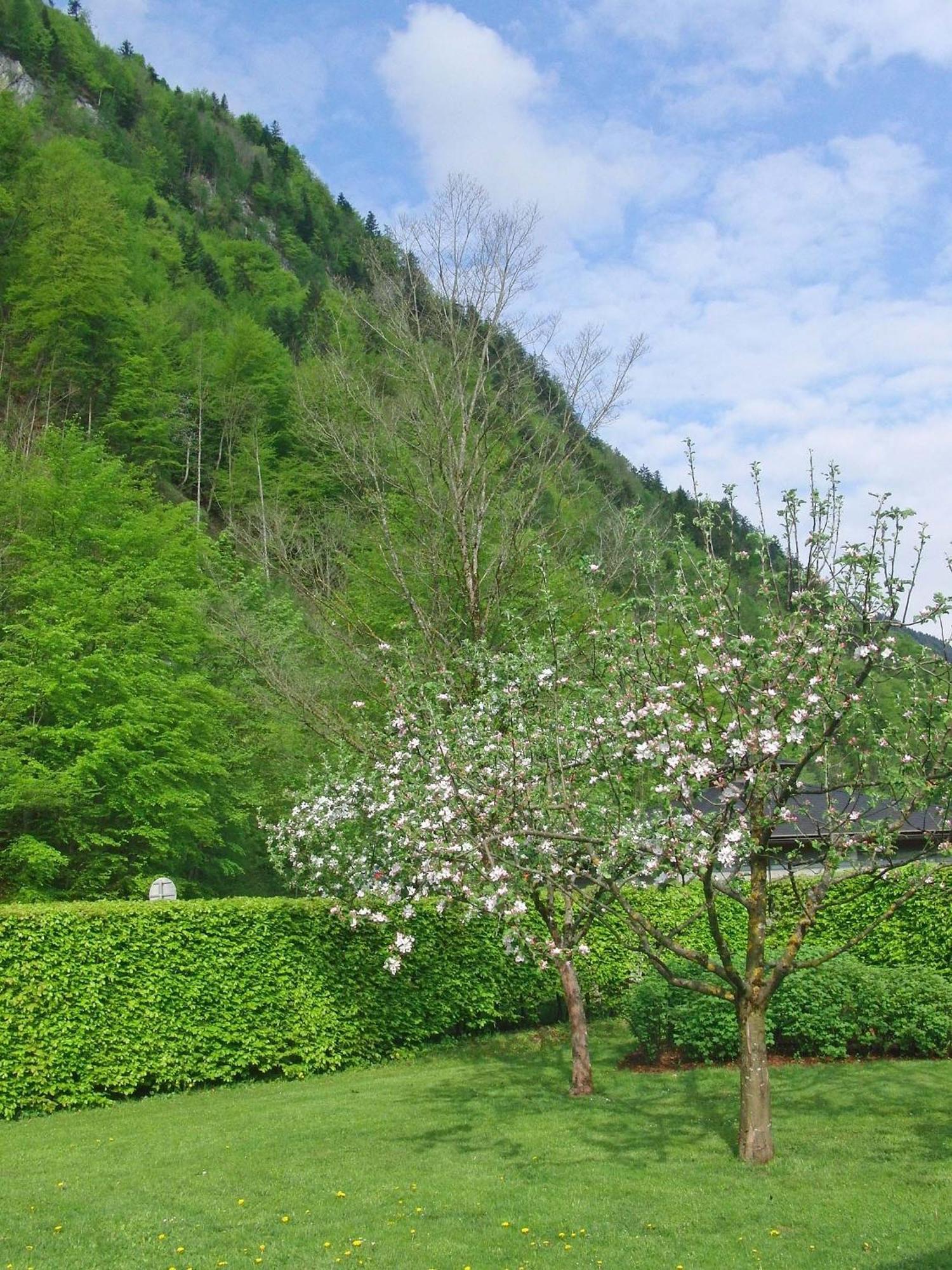 Haus Seehof ซังคท์กิลเกอ ภายนอก รูปภาพ